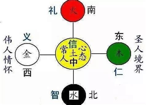 木主仁|五行之木（主仁）的意象